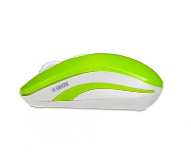 iBox LORIINI