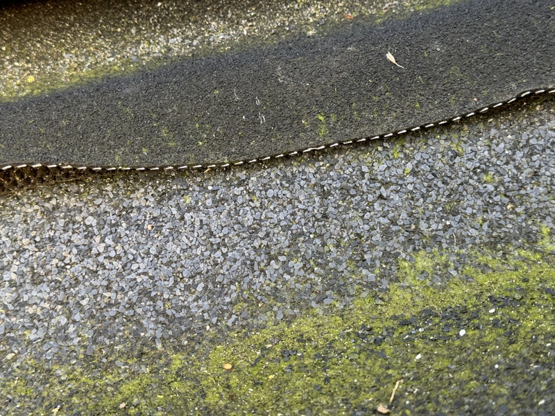 Afbeeldingslocatie: https://tweakers.net/i/YCvw6lJSgE0NRsggARMiCz1v5Ts=/800x/filters:strip_icc():strip_exif()/f/image/x17aVfB5GYn6eGzjvuIomCEw.jpg?f=fotoalbum_large