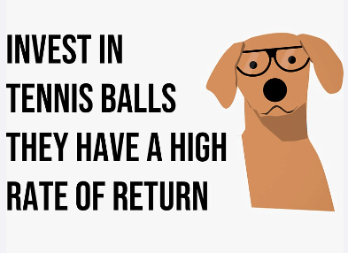 Afbeeldingslocatie: https://tweakers.net/i/YEA4VJpLUESvON5yCzpFdBXsRKA=/full-fit-in/4000x4000/filters:no_upscale():fill(white):strip_exif()/f/image/IV7wXHAY8NUtj8FI2XWMvbck.png?f=user_large