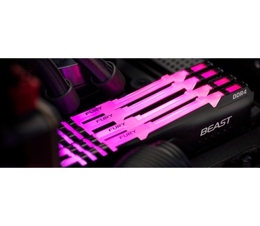 HyperX Beast RGB