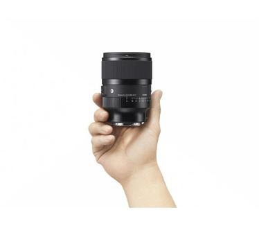 Sigma Art 316