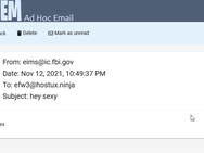 Pompompurin FBI hoax