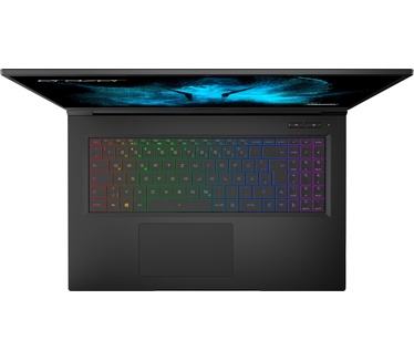 Medion ERAZER Beast X25 Gaming laptop | AMD Ryzen 9 | Windows 10 Home | RTX 3080 | 17,3" inch QHD | 64 GB RAM | 2 TB SSD