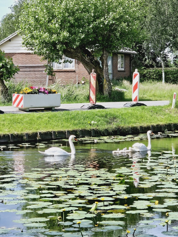 Afbeeldingslocatie: https://tweakers.net/i/YEx9ACDxRoR7P71uDNFijvRLqKg=/x800/filters:strip_icc():strip_exif()/f/image/Wjt3PKzAGY6DyID7tZRc5UMX.jpg?f=fotoalbum_large