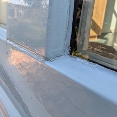 Afbeeldingslocatie: https://tweakers.net/i/YGnx_4DEPzqTSdOGvXX7HTVAKUY=/232x232/filters:strip_icc():strip_exif()/f/image/GXaoyYnKMYoD5shb4mwVzz7l.jpg?f=fotoalbum_tile