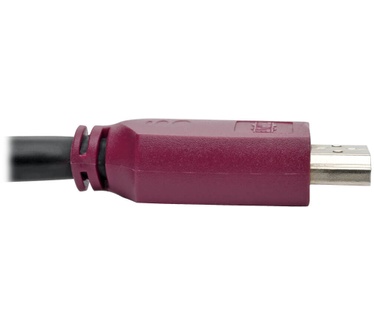 Tripp-Lite P569-006-CERT