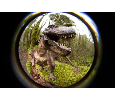 Lensbaby Circular Fisheye