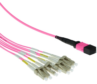 ACT RL7842 Paars