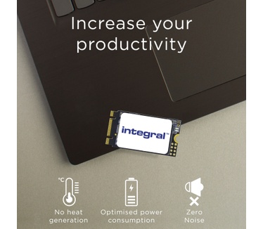 Integral INSSD512GM242