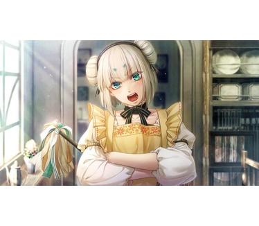 Code: Realize Guardian of Rebirth, Switch