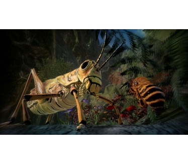 Bee Simulator, Switch