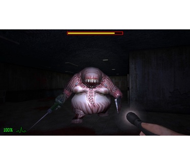 Dementium: The Ward