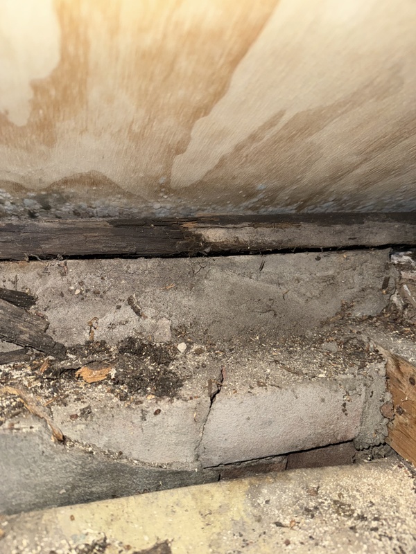 Afbeeldingslocatie: https://tweakers.net/i/YWo0rUL7MU8BzxPmVoETyLM70Fs=/x800/filters:strip_icc():strip_exif()/f/image/3A5mTmRDn0oGoDwisMRzlVYC.jpg?f=fotoalbum_large