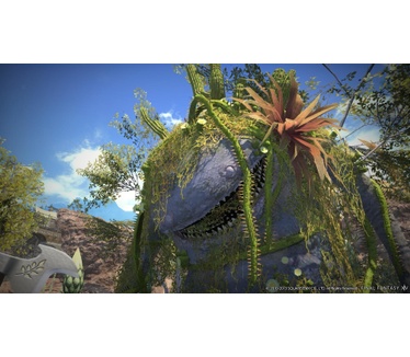 Final Fantasy XIV: A Realm Reborn, PC