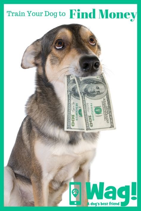 Afbeeldingslocatie: https://tweakers.net/i/YYaj9ub0RZ-o5pZepzfmkaie1f4=/full-fit-in/4920x3264/filters:max_bytes(3145728):no_upscale():strip_icc():fill(white):strip_exif()/f/image/kzP8pHngBuTG7lunS0OLphy8.jpg?f=user_large