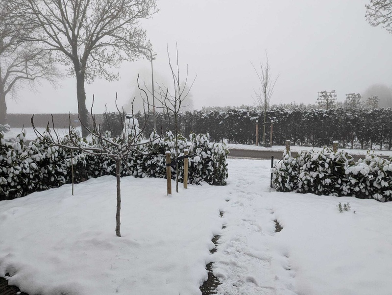 Afbeeldingslocatie: https://tweakers.net/i/YZ8cdSwrnUmLR_IrBjyjiyTk1pk=/800x/filters:strip_icc():strip_exif()/f/image/eo7bwJKEYacxdMSkSzk31vGS.jpg?f=fotoalbum_large