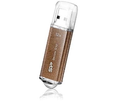 Silicon Power 16GB Secure G10