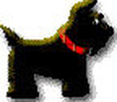 WinPatrol logo