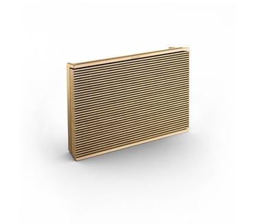Bang & Olufsen Beosound Level