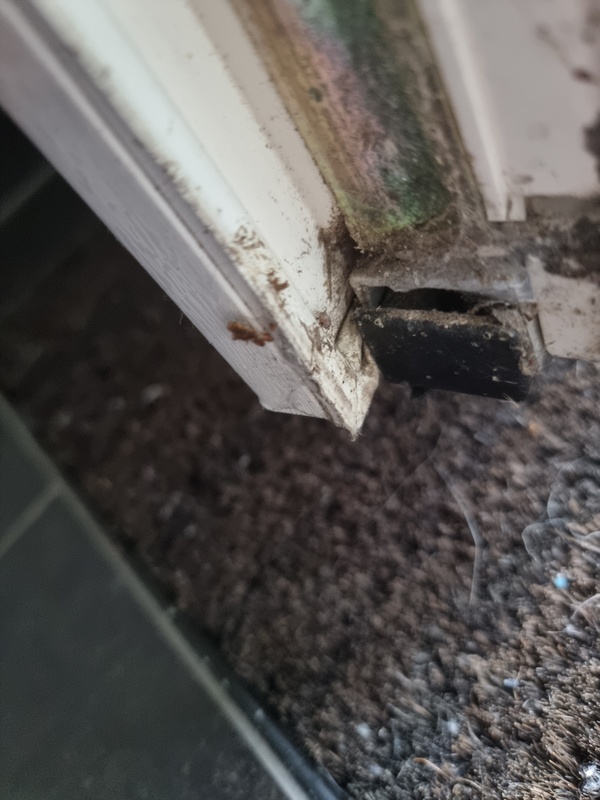 Afbeeldingslocatie: https://tweakers.net/i/YdsGtlfptgCQIqNc6fEDJT7gaDE=/x800/filters:strip_icc():strip_exif()/f/image/C3S7GxzLu2klAUpr0pKsiPam.jpg?f=fotoalbum_large