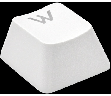 Corsair CH-9911040-DE