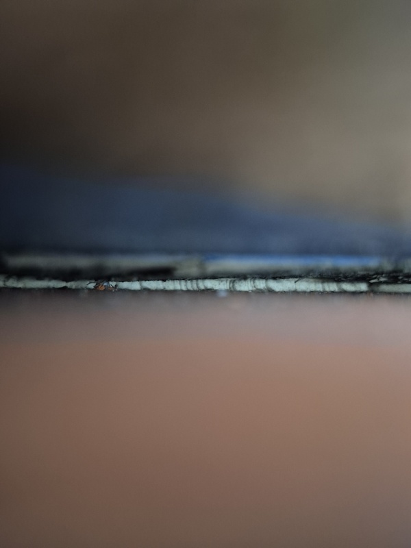 Afbeeldingslocatie: https://tweakers.net/i/YffMU4HxydsCOXgj8LJwww-_h3Y=/x800/filters:strip_icc():strip_exif()/f/image/FviFiC2MfNJE20XZpQqLW4Rj.jpg?f=fotoalbum_large