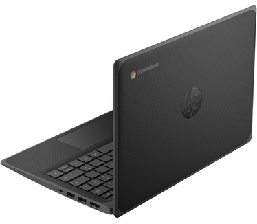 HP Fortis 11 G10