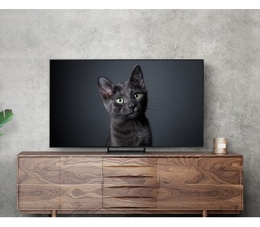 Samsung OLED QD S90C 65" Zwart