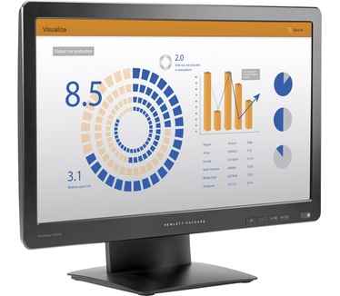HP ProDisplay P202va Zwart