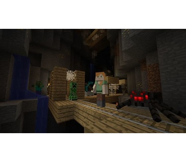 Minecraft, Wii U