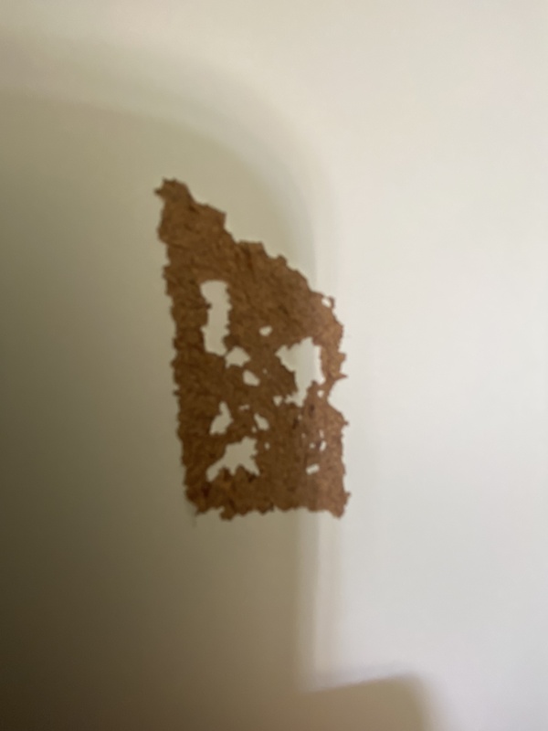 Afbeeldingslocatie: https://tweakers.net/i/YiRfJj1kfrk5-3qM3amnhvWuPEo=/x800/filters:strip_icc():strip_exif()/f/image/gixKun6c4PlenuD4CSFNHqcJ.jpg?f=fotoalbum_large