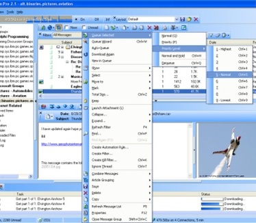 NewsMan Pro 2.1 screenshot (mini)