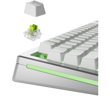 Glorious PC Gaming Race GLO-KB-ACC-SWT-RAPTOR-HE-36