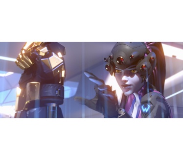 Overwatch Collector's Edition, Windows