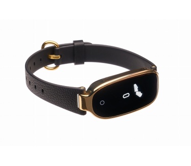 Garett Electronics Diana