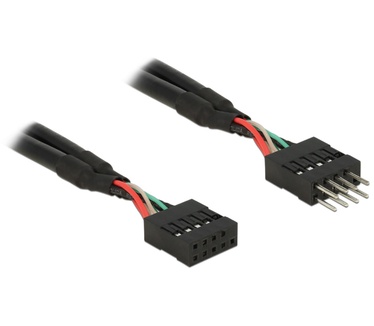 Delock 0.25m 2xUSB2.0