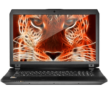 Clevo P670RP6-G