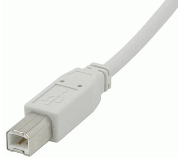 CablesToGo 1m USB 2.0 A/B Cable