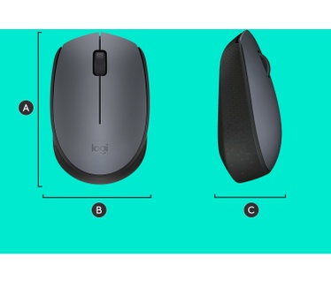 Logitech M170
