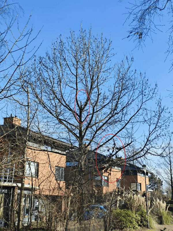 Afbeeldingslocatie: https://tweakers.net/i/YqRlZcPTVTFkSGcXzlbySIXrkPI=/x800/filters:strip_exif()/f/image/8RJzLTS6ifVWXCG4NQadUWR3.png?f=fotoalbum_large