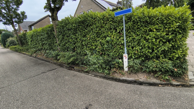 Afbeeldingslocatie: https://tweakers.net/i/YrITDhKFZY6S1u9JJZTXgMSXY8w=/800x/filters:strip_icc():strip_exif()/f/image/3WjCDuSZ0IGyIbUdH8NqYnDS.jpg?f=fotoalbum_large
