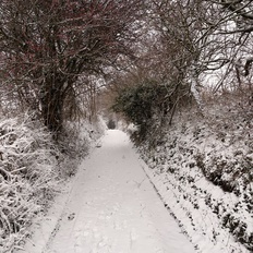 Afbeeldingslocatie: https://tweakers.net/i/YsrZyX6vj9PEaxjpboi2EDiZ1Ws=/232x232/filters:strip_icc():strip_exif()/f/image/49DRU8wI2t5AOkdY39luPeDd.jpg?f=fotoalbum_tile