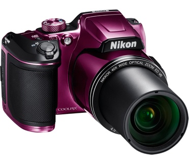 Nikon B500