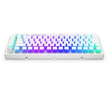 ENDORFY Thock 75%