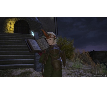 Final Fantasy XIV: A Realm Reborn (Collectors Edition), PS4