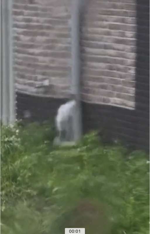 Afbeeldingslocatie: https://tweakers.net/i/Yv65JDHQC7lkOce8jyWpzP6SzTQ=/x800/filters:strip_icc():strip_exif()/f/image/hehO3KINl9JDRGoySDJbIdxW.jpg?f=fotoalbum_large