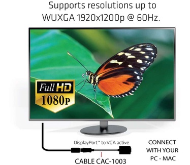 Club 3D Displayport to VGA Active Adapter