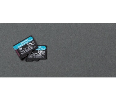 Kingston Canvas Go! Plus