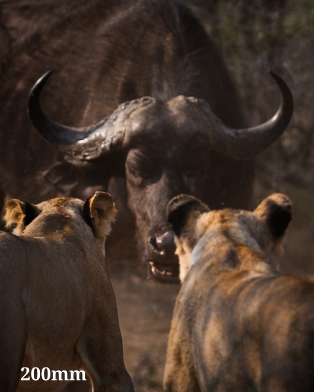 Afbeeldingslocatie: https://tweakers.net/i/Z0L-4Utb5xyBT61t09eBqRemXfI=/x800/filters:strip_icc():strip_exif()/f/image/FE09ylL9E2TDlLCiXlp4U6JL.jpg?f=fotoalbum_large