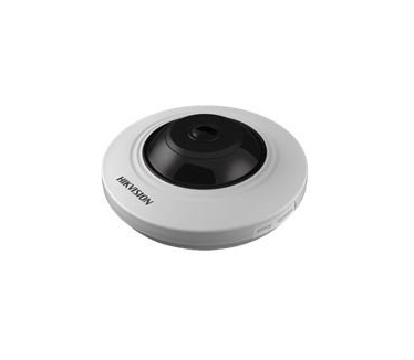Hikvision DS-2CD2955FWD-IS